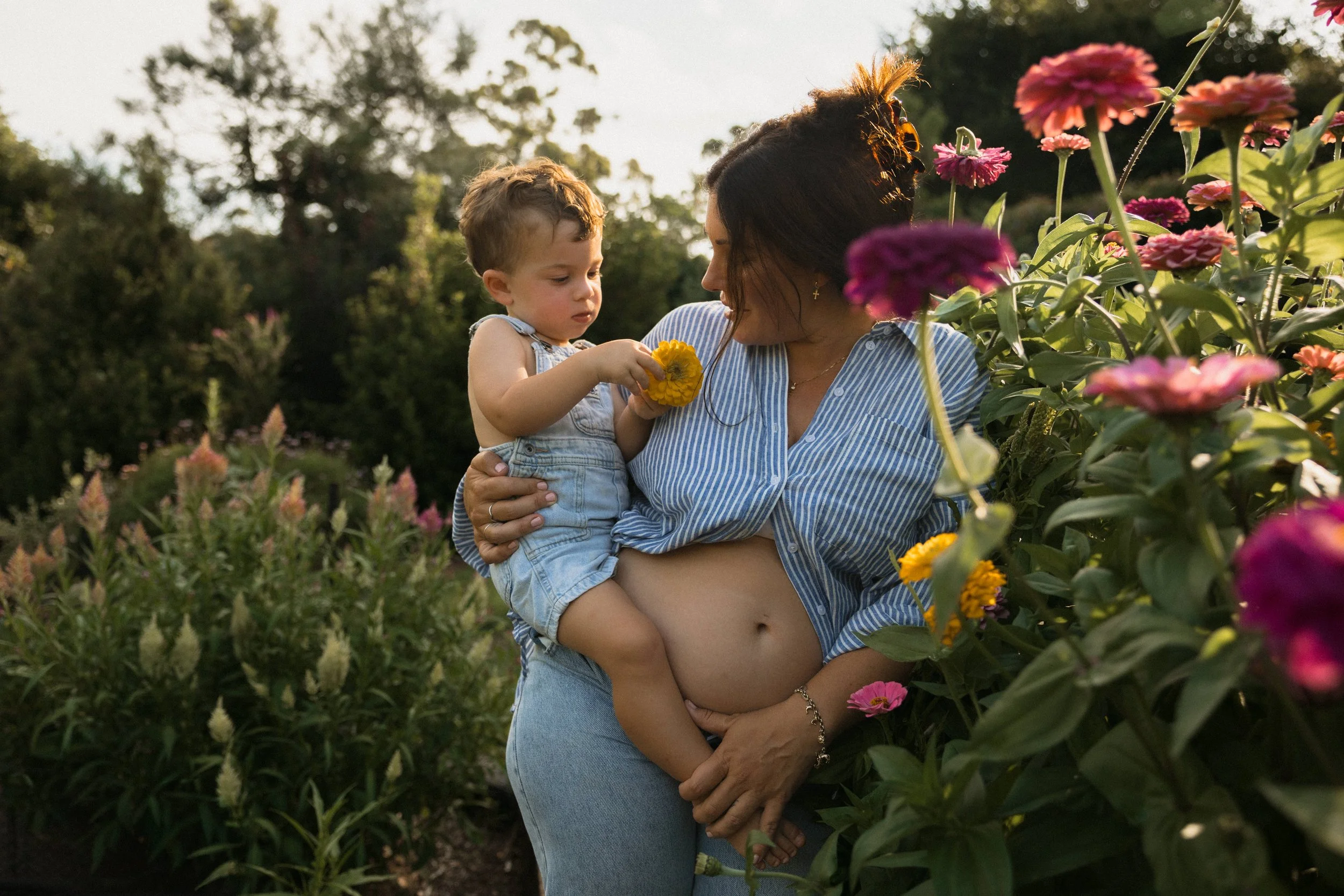Flower farm photo sessions on the Gold Coast
