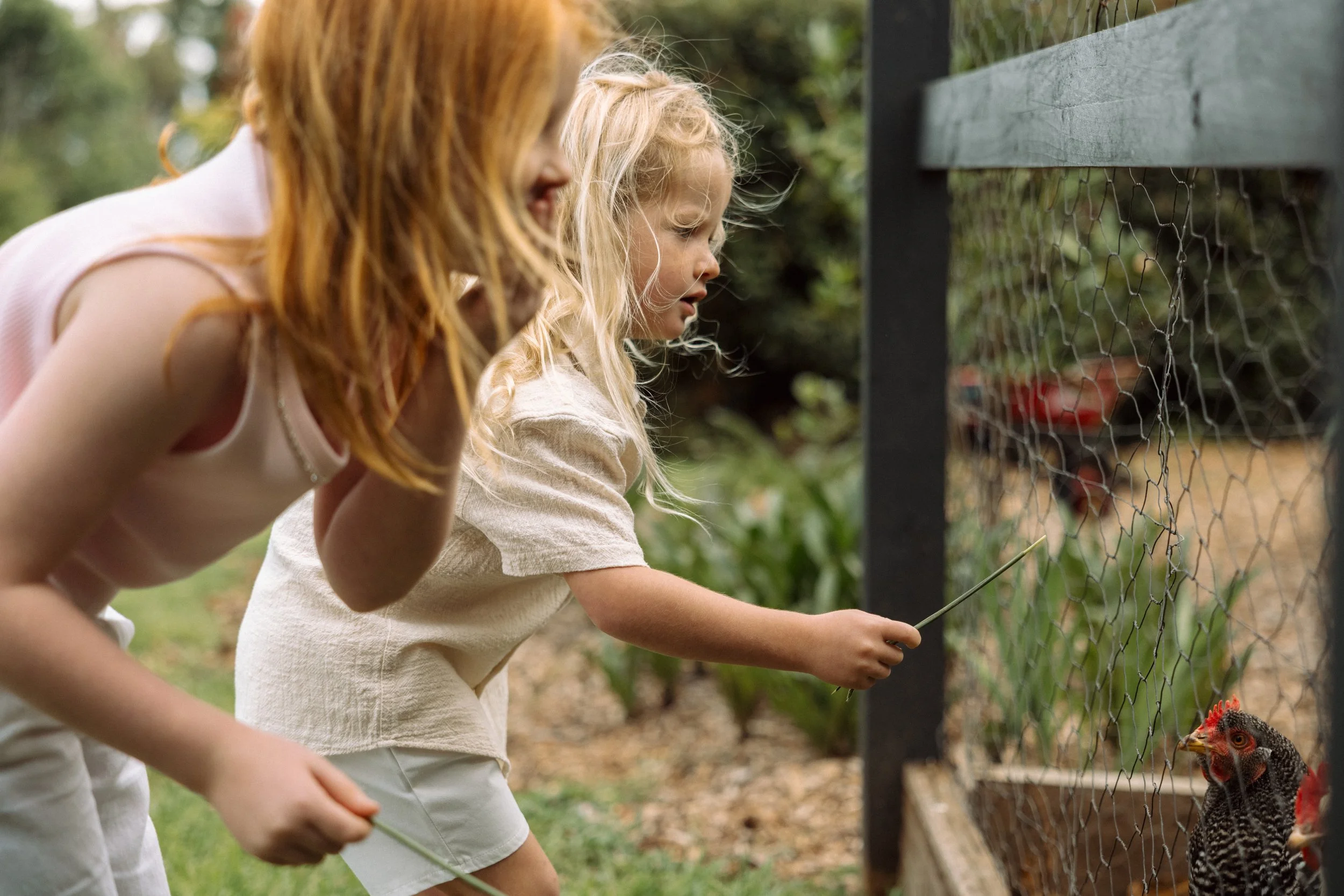 Hollie Flower Farm ~ Bec Zacher Photo-4.jpg