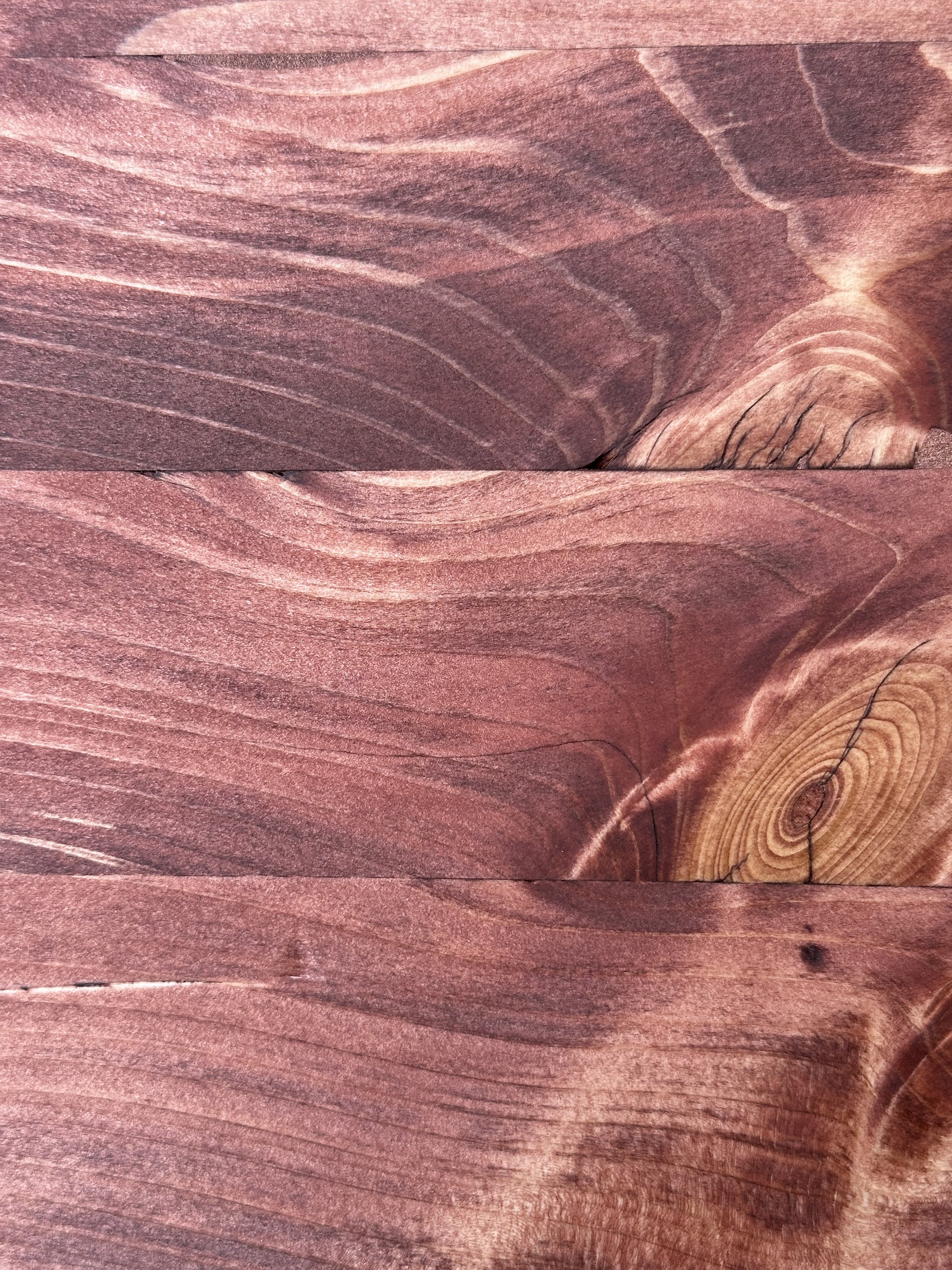 Red Chestnut .jpg