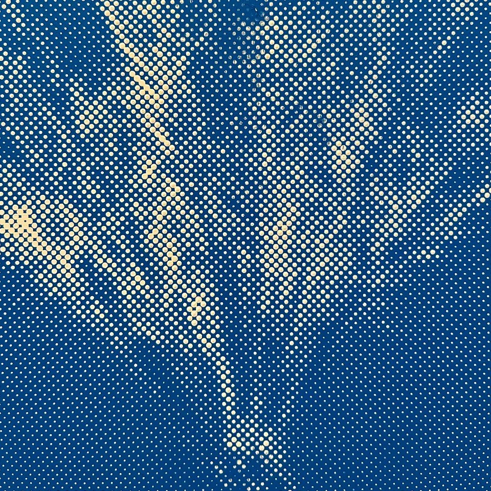 StoneGallery-stonesilkscreens-Contemporary-ArtStudio-ArtGallery-PalmSprings-California-Shop-blu-PalmTree-portrait-1.jpg