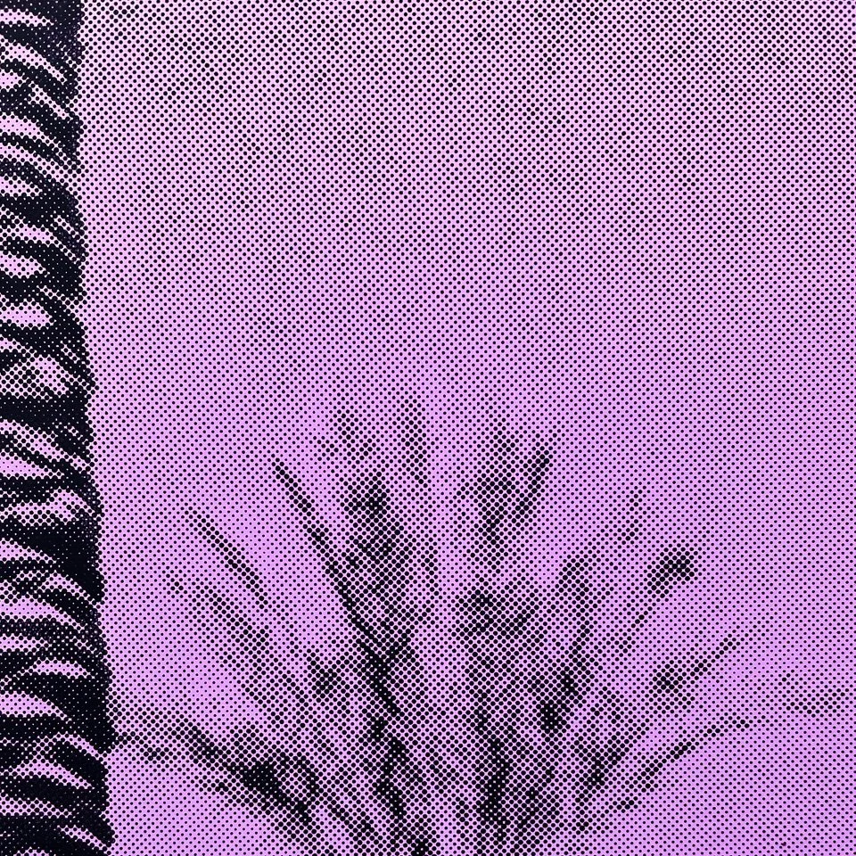 StoneGallery-stonesilkscreens-Contemporary-ArtStudio-ArtGallery-PalmSprings-California-Shop-plum-PalmTree-portrait-7.jpg
