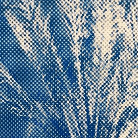 StoneGallery - stonesilkscreens - Contemporary - Art Studio - Art Gallery - Palm Springs - California - Home Page - blu - Palm Haze - come by to visit the gallery