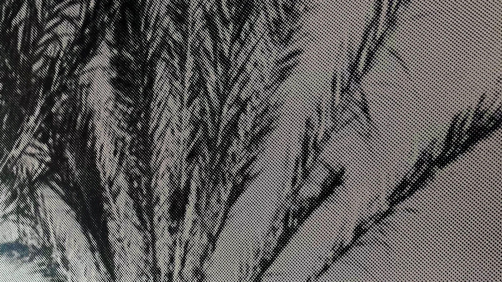 StoneGallery - stonesilkscreens - Contemporary - Art Studio - Art Gallery - Palm Springs - California - Home Page - 2 TONE Palm Haze - come by to visit the gallery