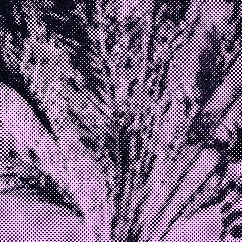 StoneGallery - stonesilkscreens - Contemporary - Art Studio - Art Gallery - Palm Springs - California - Home Page - Plum - Palm Haze - come by to visit the gallery