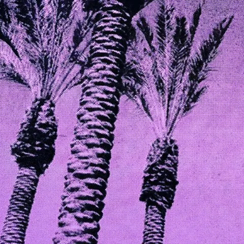 StoneGallery - stonesilkscreens - Contemporary - Art Studio - Art Gallery - Palm Springs - California - Home Page - Plum - Palm Haze - come by to visit the gallery