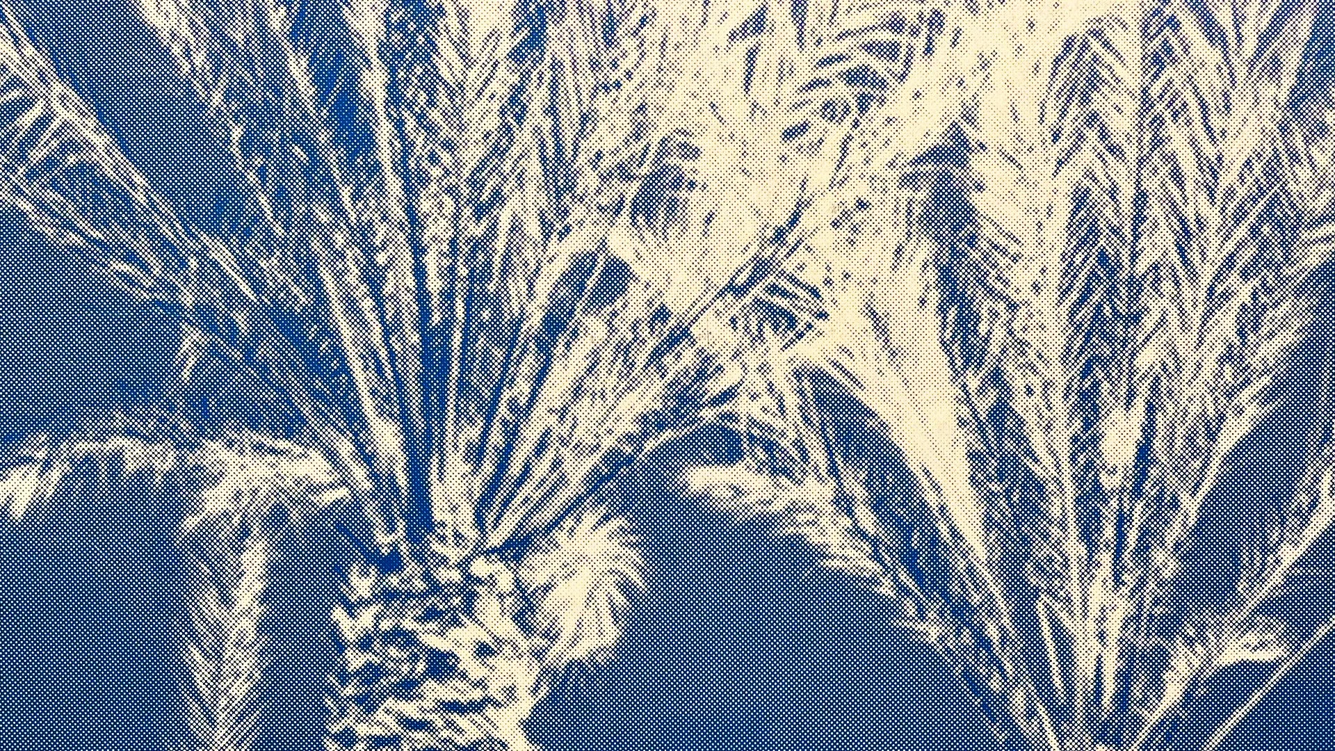 StoneGallery - stonesilkscreens - Contemporary - Art Studio - Art Gallery - Palm Springs - California - Home Page - Palm Haze - come by to visit the gallery