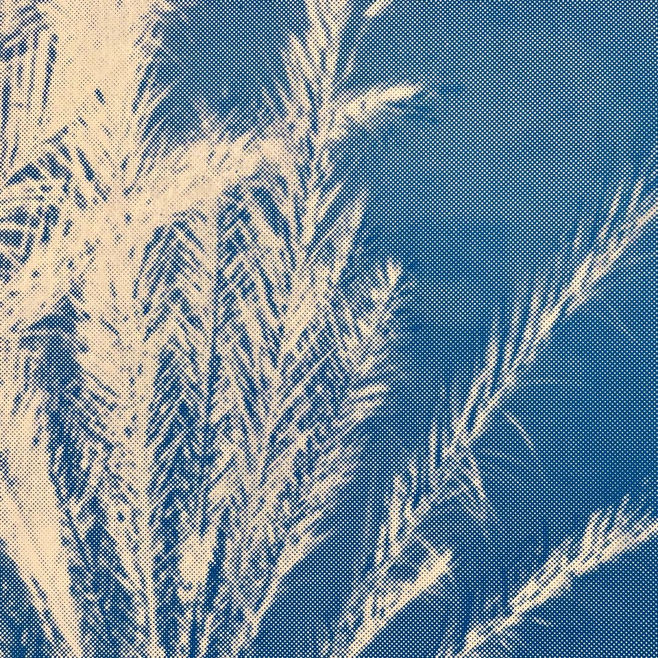 StoneGallery-stonesilkscreens-Contemporary-ArtStudio-ArtGallery-PalmSprings-California-Shop-blu-PalmTree-portrait-9.jpg