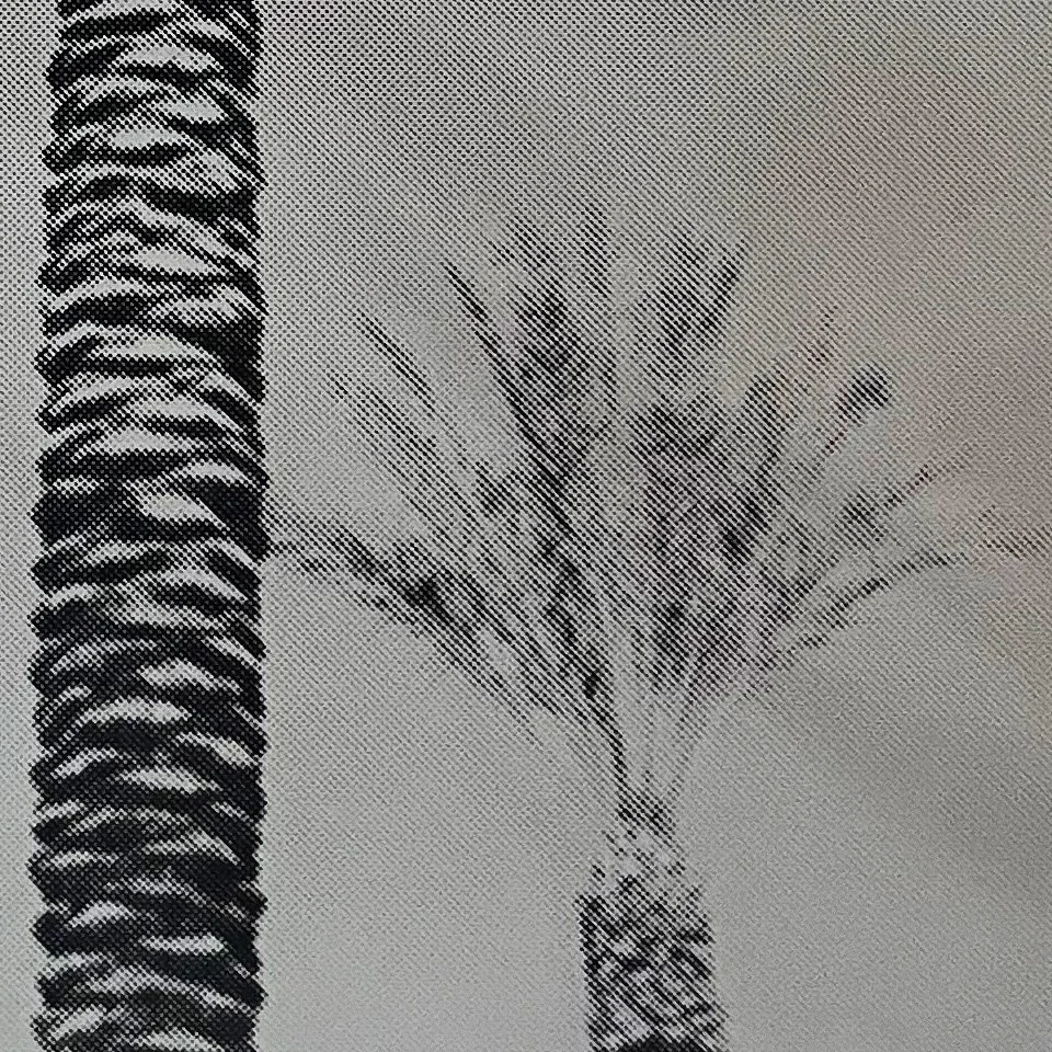 StoneGallery-stonesilkscreens-Contemporary-ArtStudio-ArtGallery-PalmSprings-California-Shop-2TONE-PalmTree-portrait-11.jpg