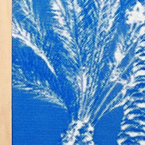 StoneGallery - stonesilkscreens - Contemporary - Art Studio - Art Gallery - Palm Springs - California - Home Page - blu - Palm Haze - come by to visit the gallery