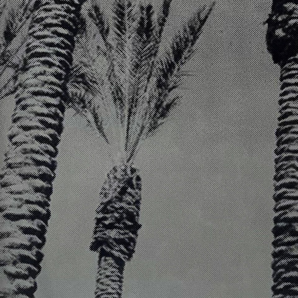 StoneGallery-stonesilkscreens-Contemporary-ArtStudio-ArtGallery-PalmSprings-California-Shop-2TONE-PalmTree-portrait-2.jpg