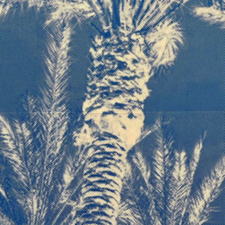StoneGallery-stonesilkscreens-Contemporary-ArtStudio-ArtGallery-PalmSprings-California-Shop-blu-PalmTree-portrait-8.jpg