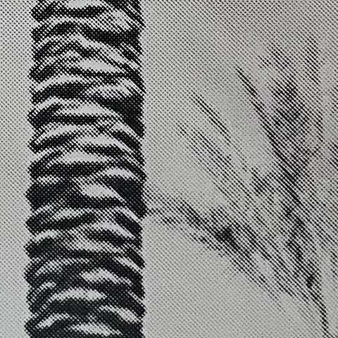 StoneGallery - stonesilkscreens - Contemporary - Art Studio - Art Gallery - Palm Springs - California - Shop Page - 2TONE palm haze - come by to visit the gallery