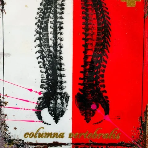 StoneGallery - stonesilkscreens - Contemporary - Art Studio - Art Gallery - Palm Springs - California - Shop Page - Columna Vertebralis - come by to visit the gallery