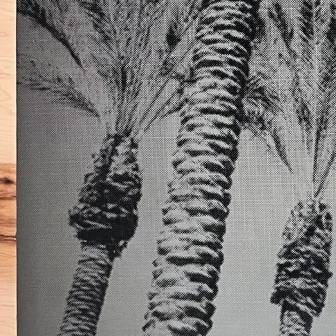 StoneGallery - stonesilkscreens - Contemporary - Art Studio - Art Gallery - Palm Springs - California - Shop Page - 2TONE palm haze - come by to visit the gallery