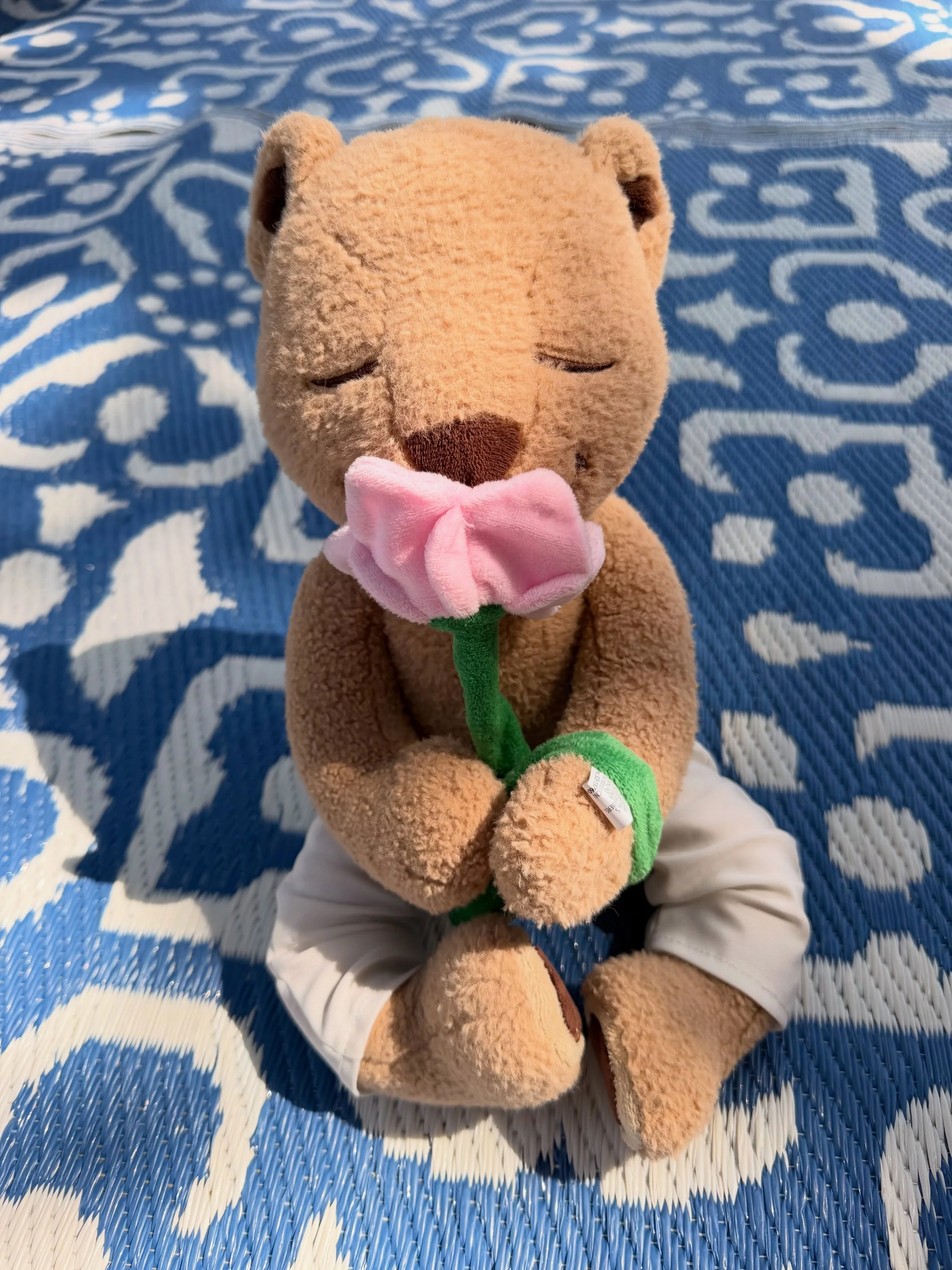 Happy Back-to-School for many of our US friends! 

Amongst the back-to-school hustle and bustle, @meddyteddy and I want to remind you to stop and smell the flowers 💐 
🌻Flower Breath is a grounding and calming breath for kids and adults&hellip;
&bul