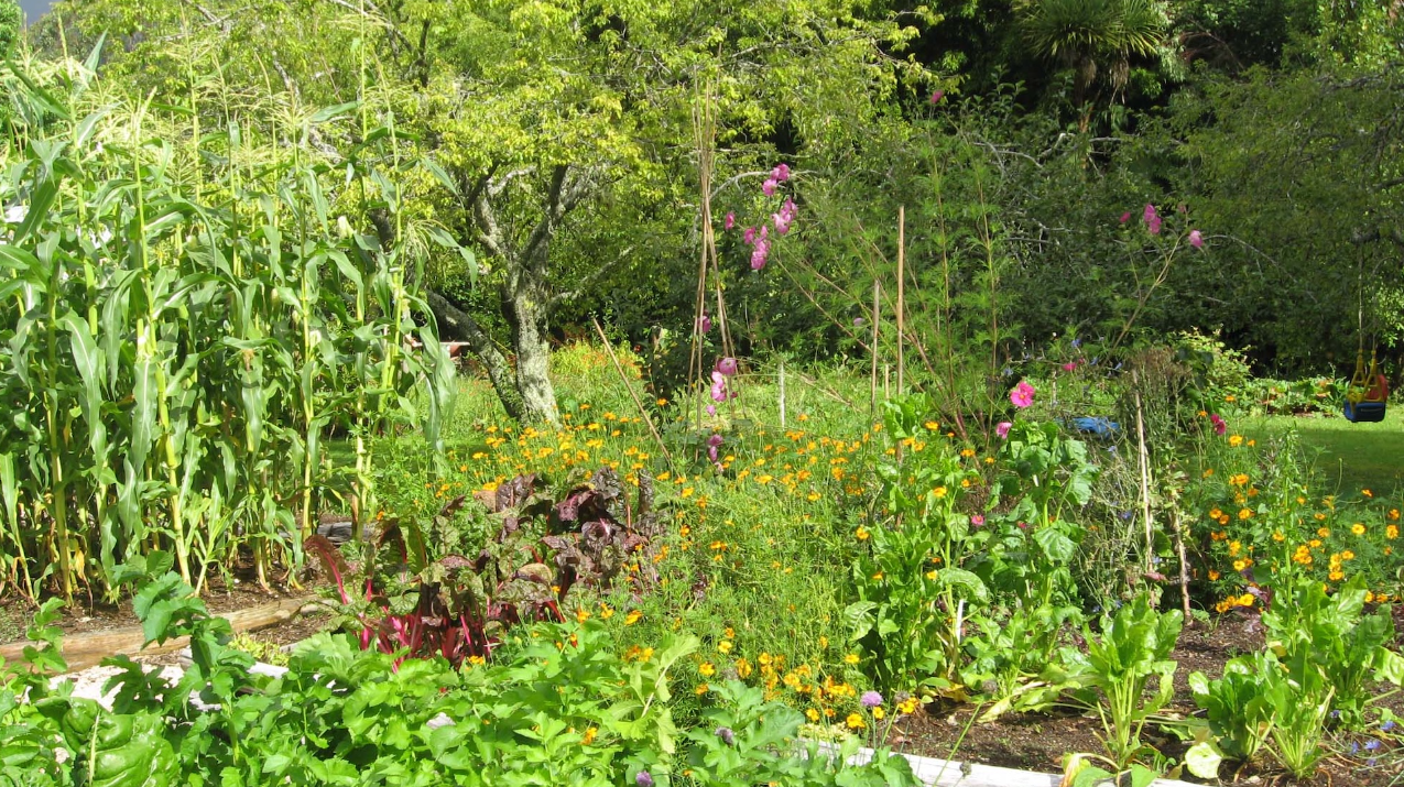 How to raise a family on homegrown food.