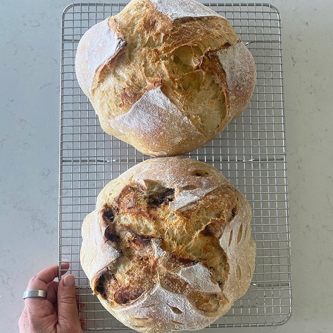 easy_sourdough_course_starter.jpg