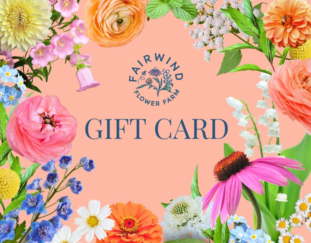 E-Gift Card