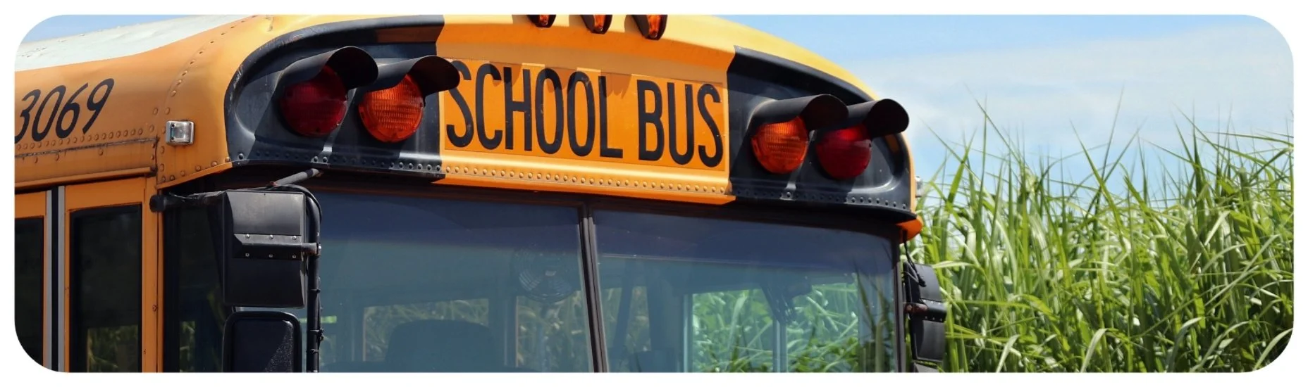 Front of a school bus, representing bus accident cases and injuries involving school transportation.