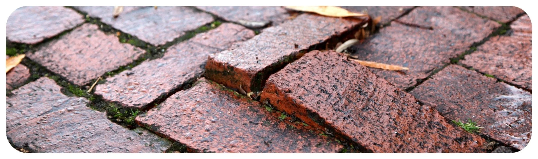 Uneven brick sidewalk creating a trip and fall hazard due to poor maintenance on a property.