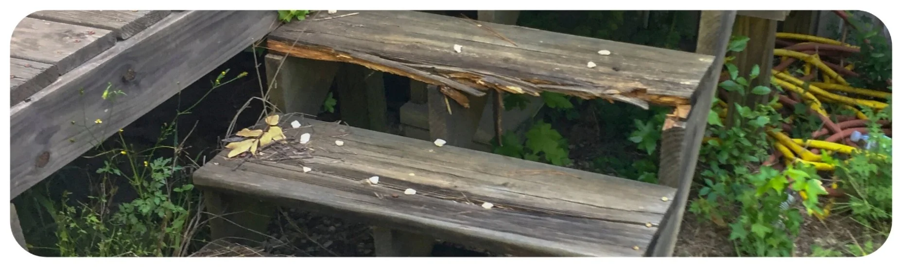 Rotting wooden steps on an Iowa property creating a dangerous fall hazard due to poor maintenance.