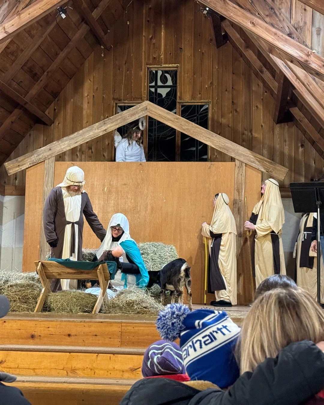 Merry Christmas Eve!🎄🐑

"And there were shepherds living out in the fields nearby, keeping watch over their flocks at night. An angel of the Lord appeared to them, and the glory of the Lord shone around them, and they were terrified. But the a