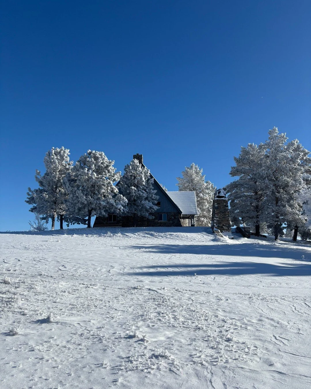 "Joy to the world; the Lord is come;
Let Earth receive her King;
Let ev'ry heart prepare him room,
And heav'n and nature sing."🎶
-Joy to the World by Isaac Watts

Merry Christmas from Springbrook Bible Camp!🎄 We rejoice in the JOY of the 