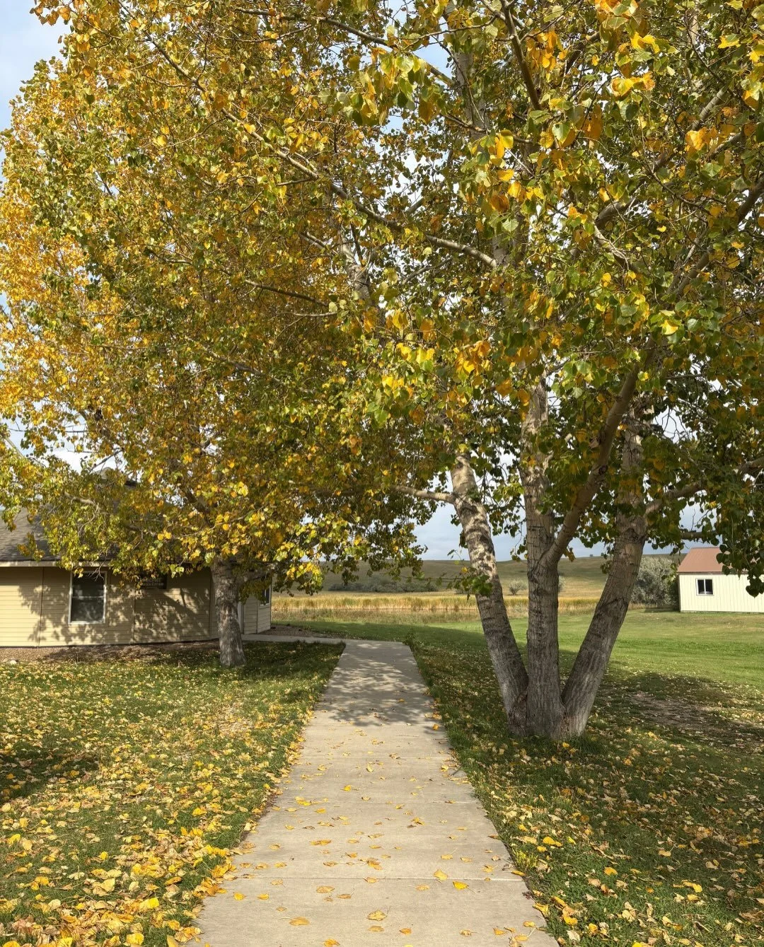 It&rsquo;s looking like fall at camp!🍂

We&rsquo;d love you for you and your family to join us for some fun events this fall and winter. 👉Swipe to check out our upcoming events and head to springbrookbiblecamp.org for more info. 

📸: @callijobenth