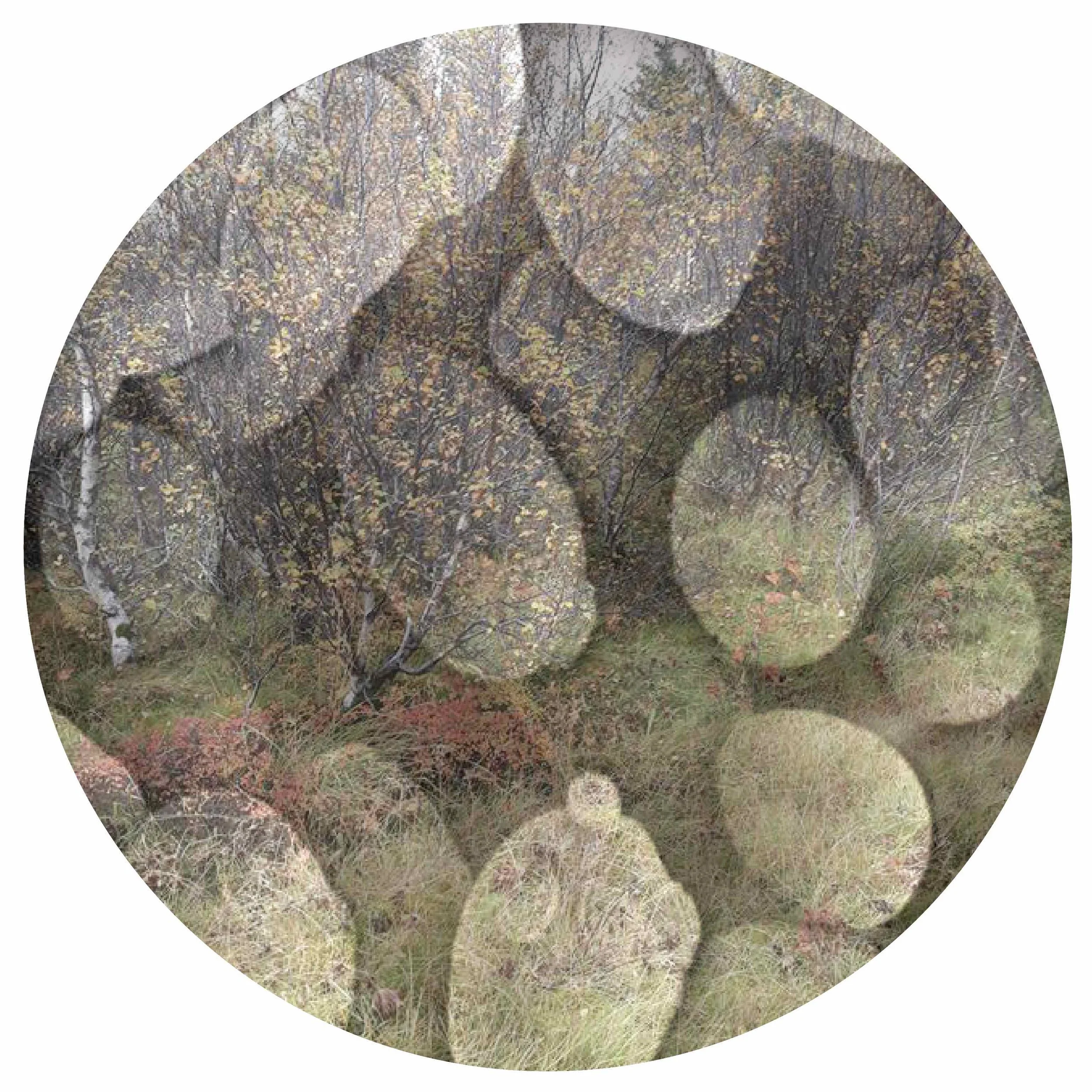 Biodiversity, what does it taste like?