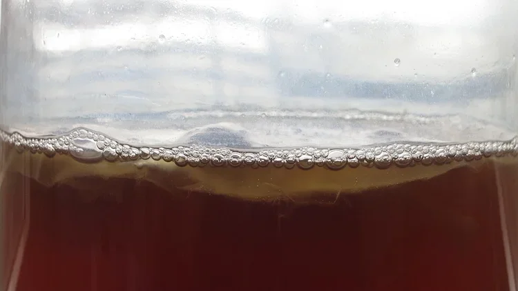 Thoughts from the lab: Beneficial bacteria