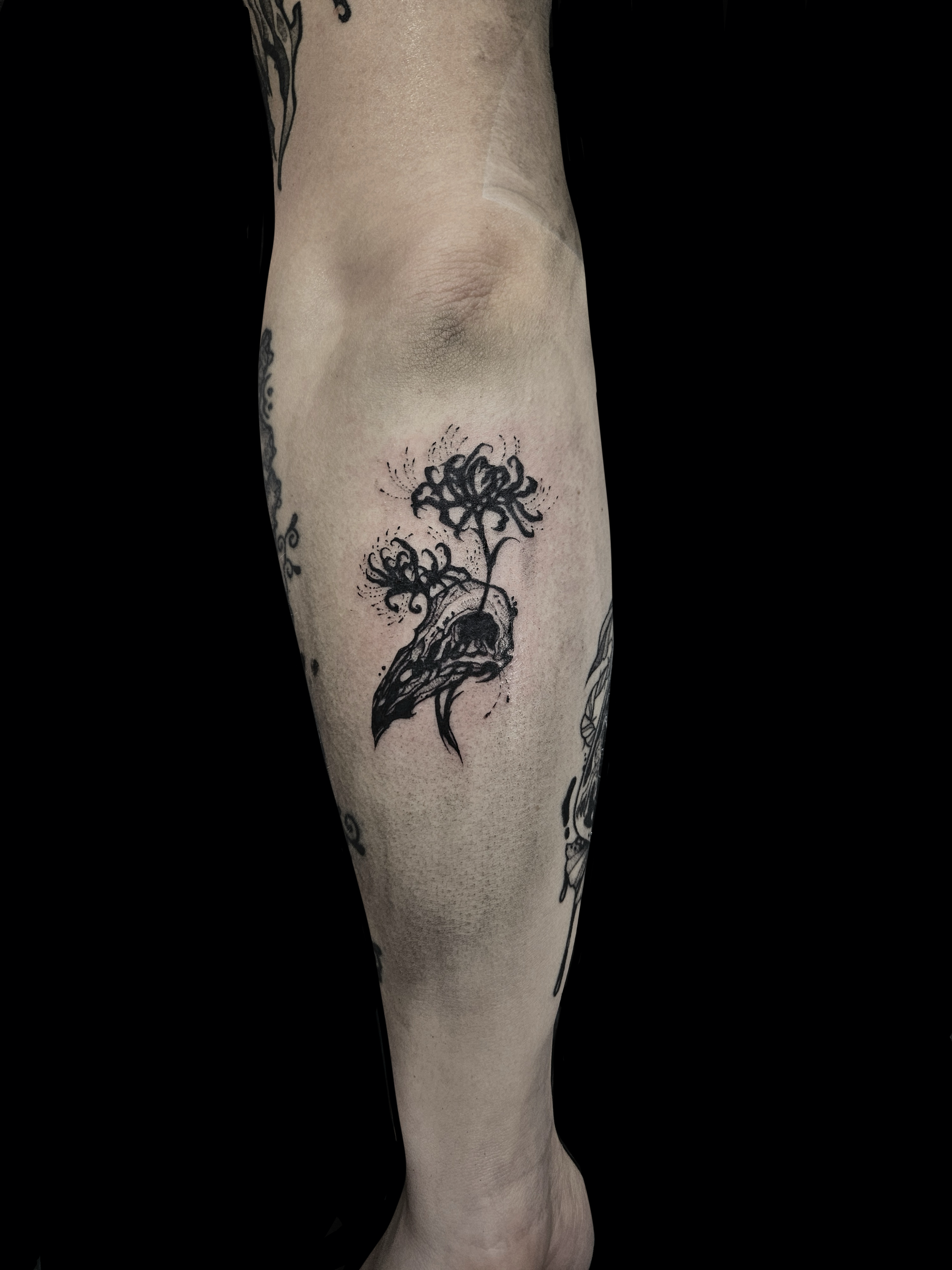 Raven Skull