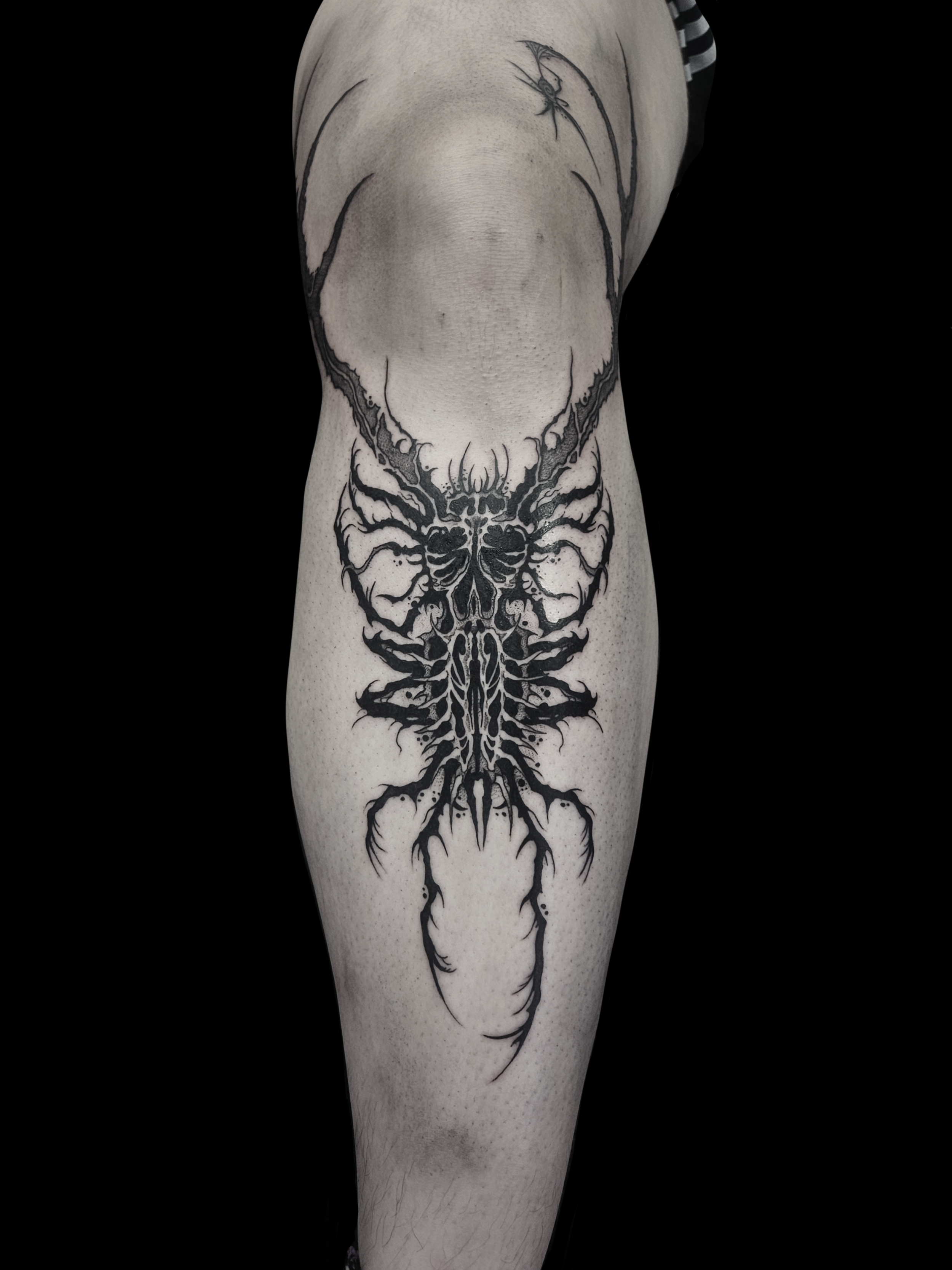 Abstract Insect