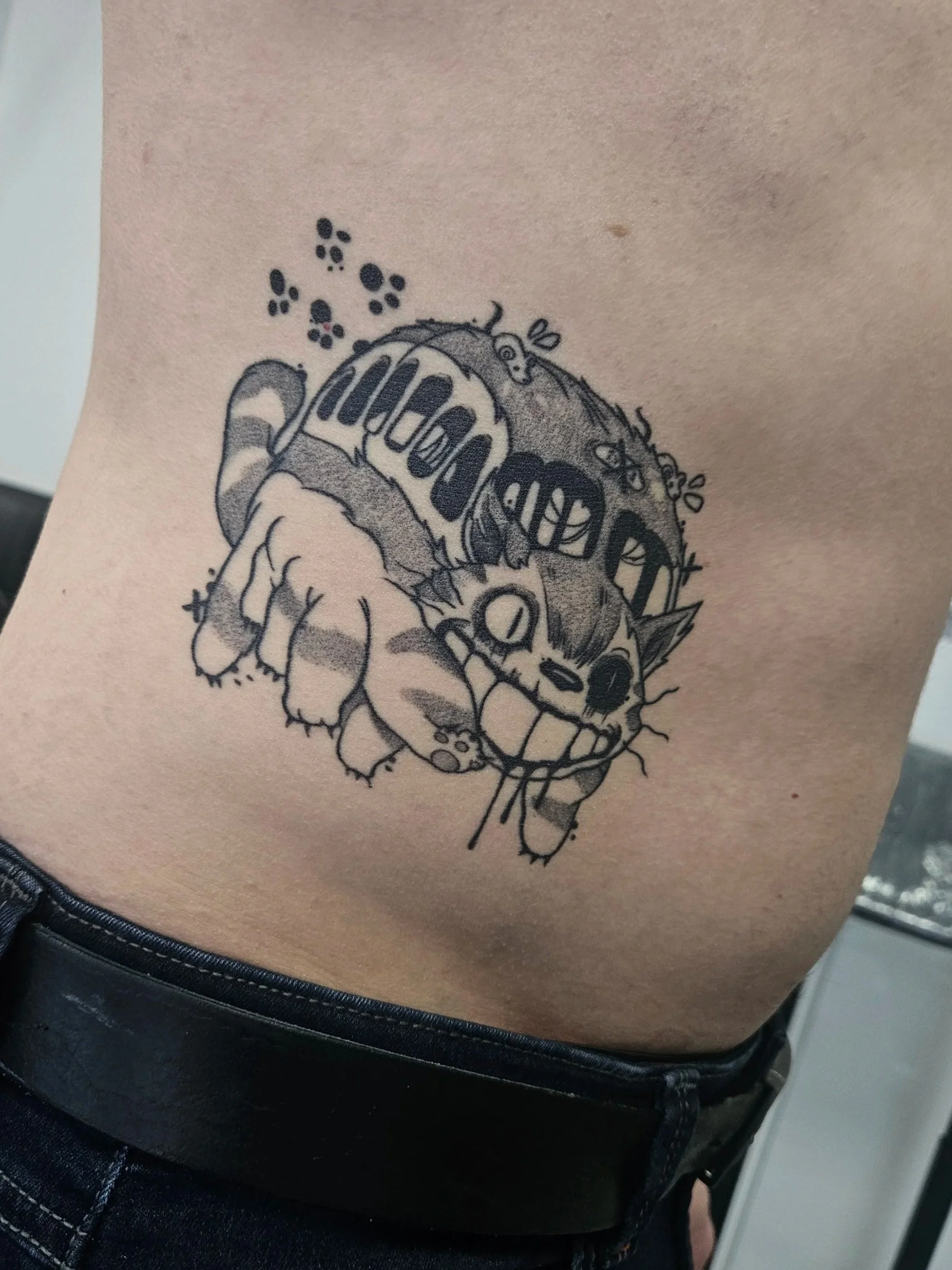 Totoro's CatBus 4 Months Healed