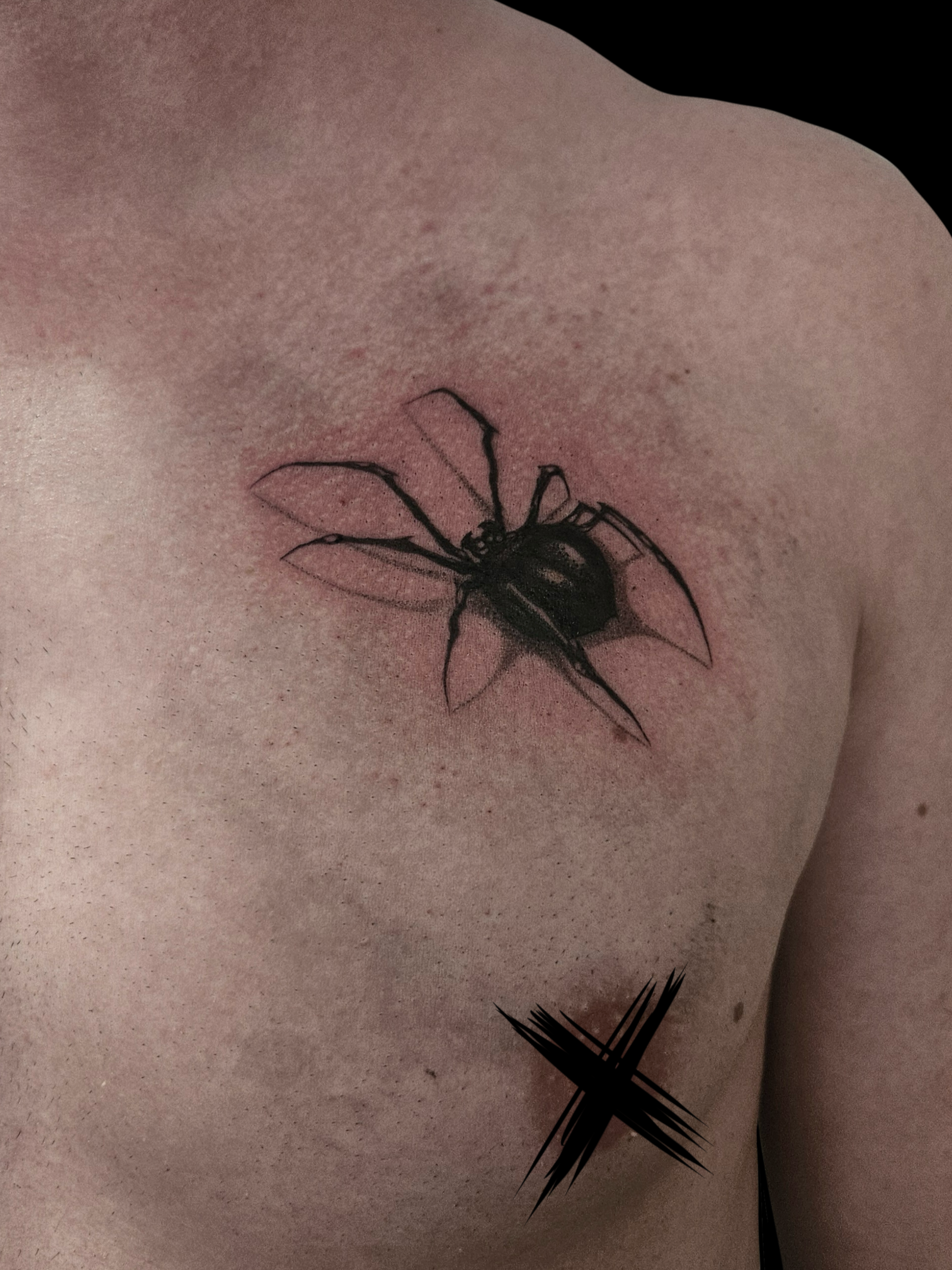 Spider