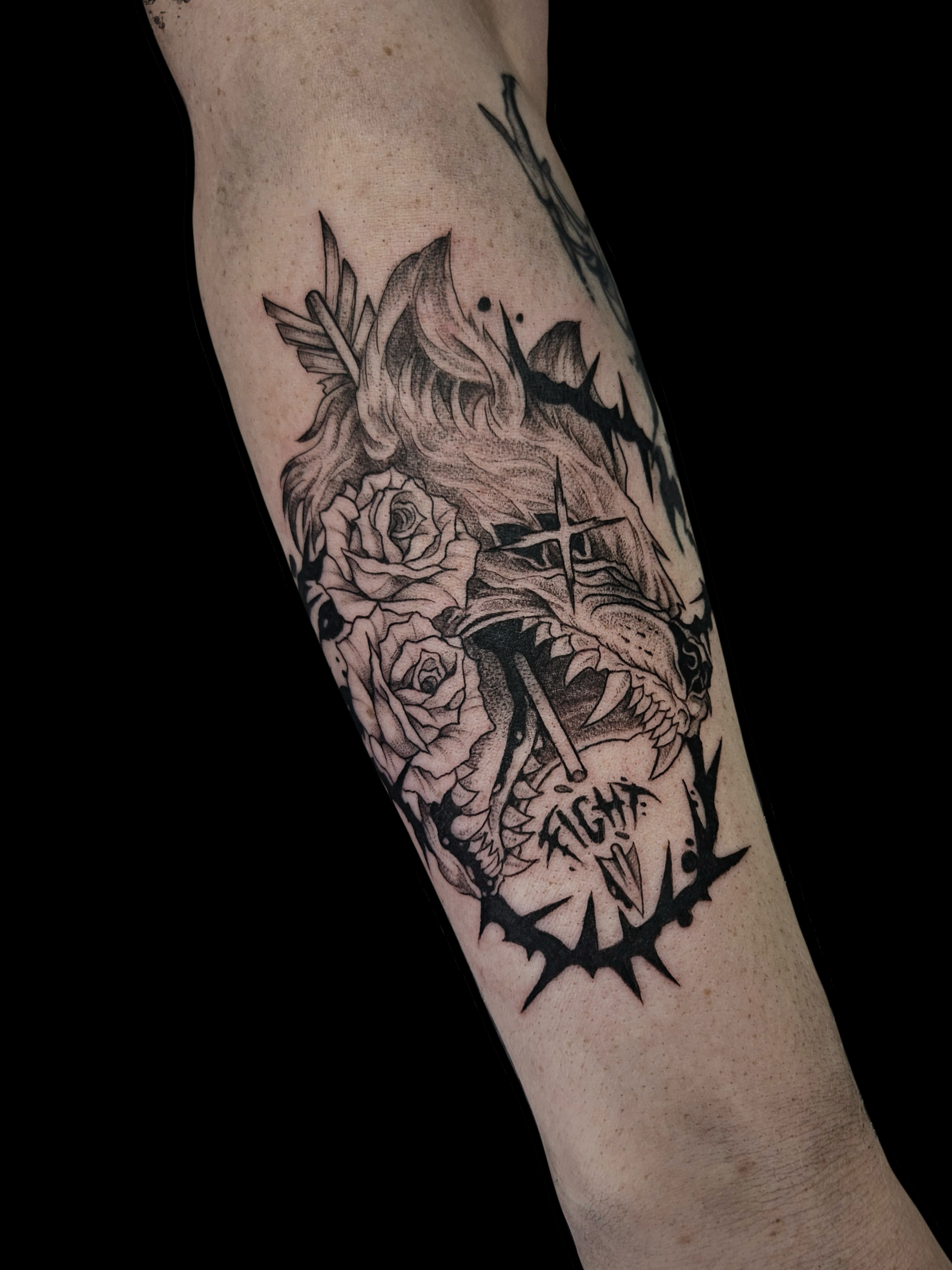 Wolf