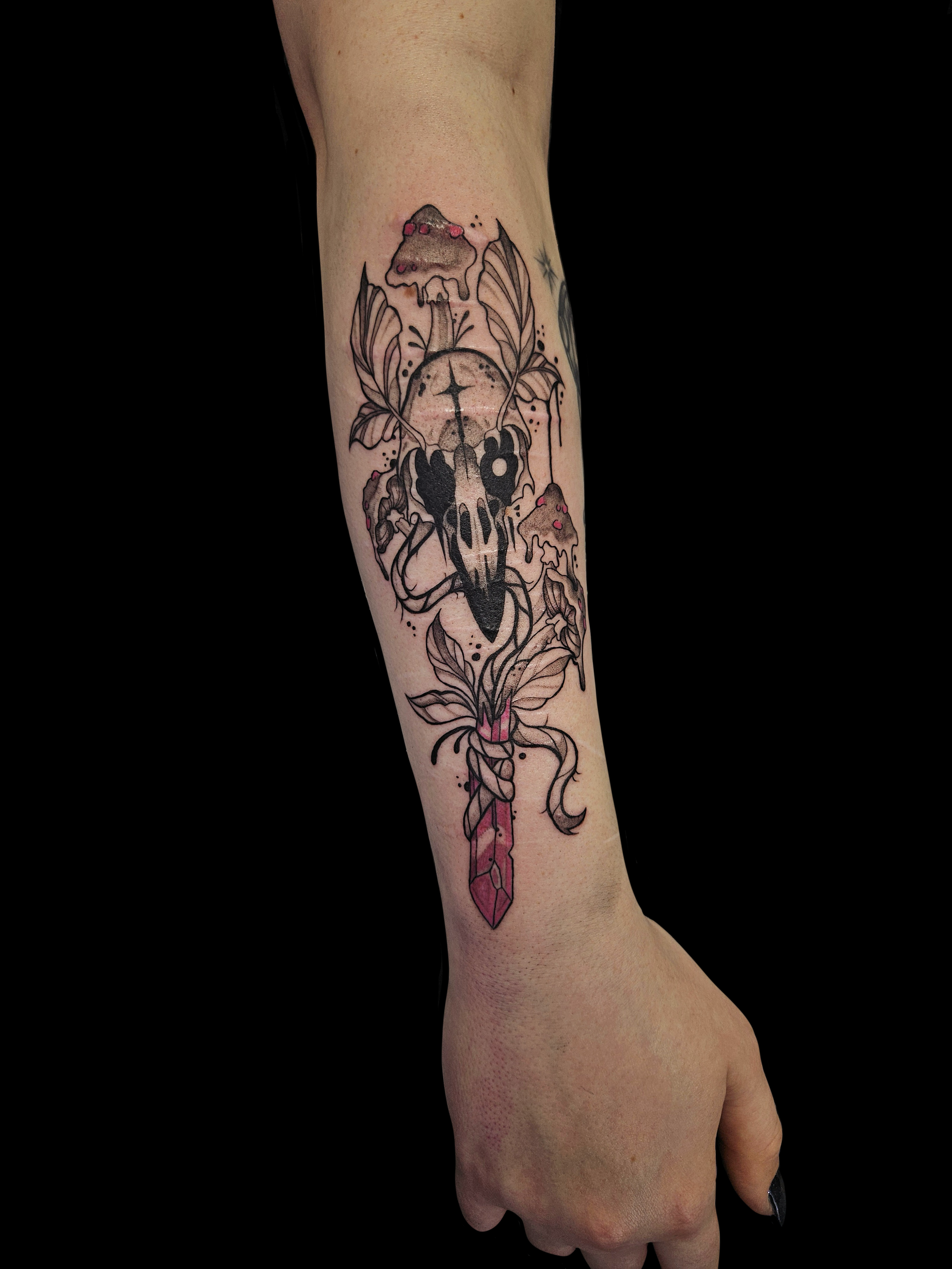 Weird Art Raven Skull