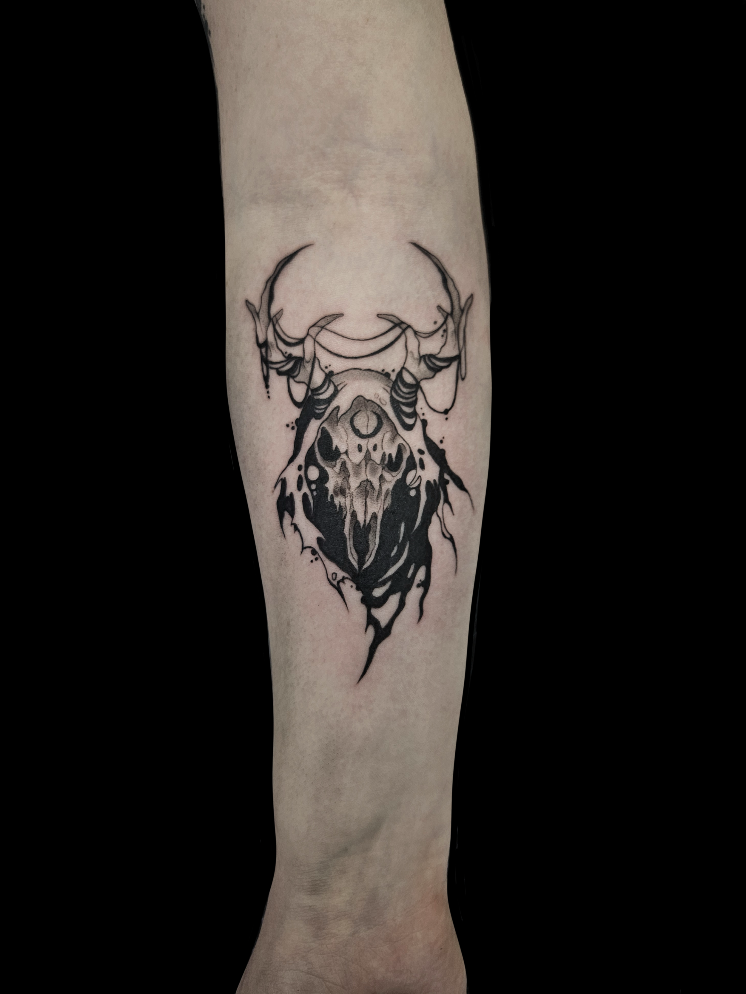 Skull