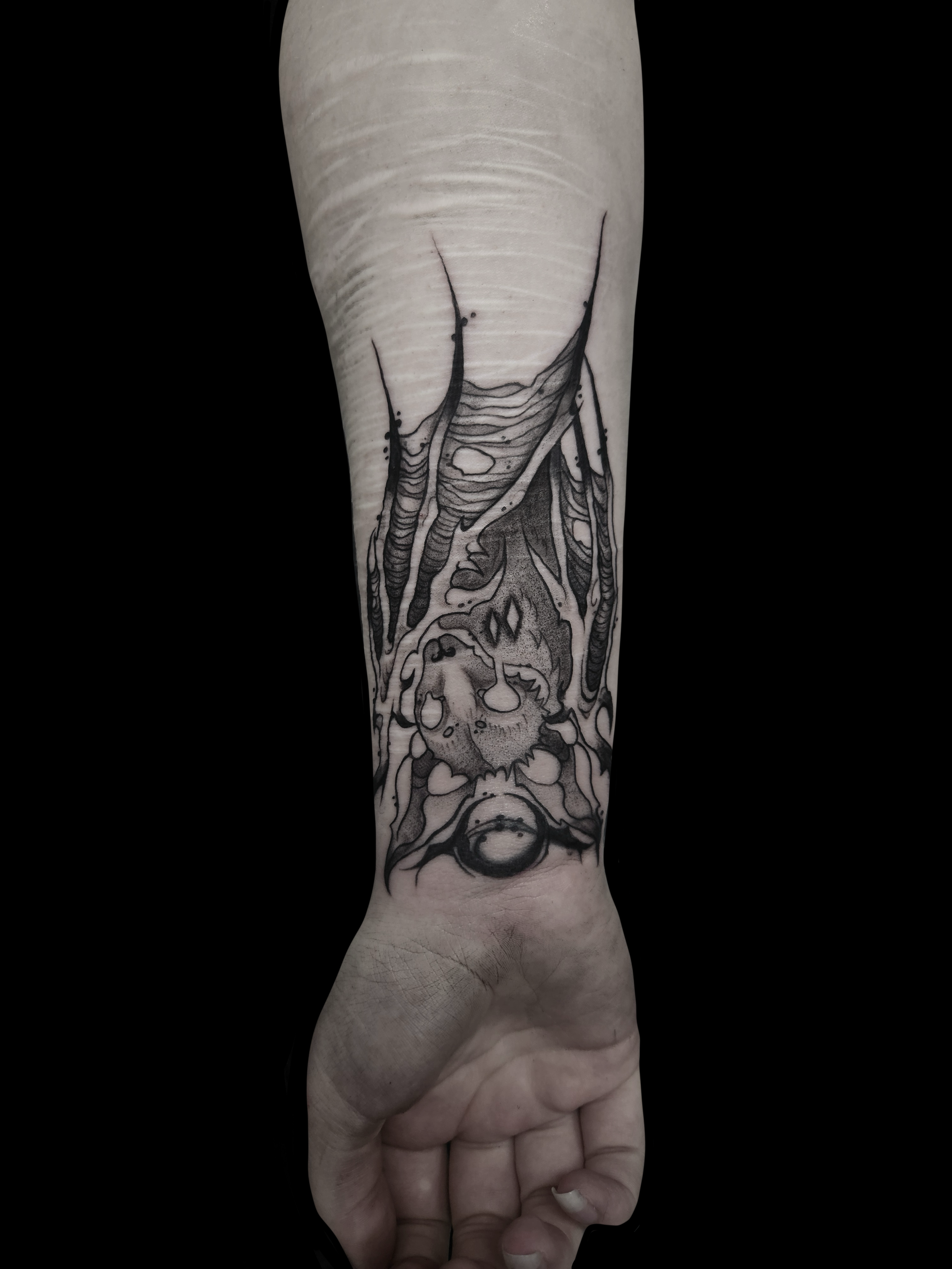 Bat Cover-Up