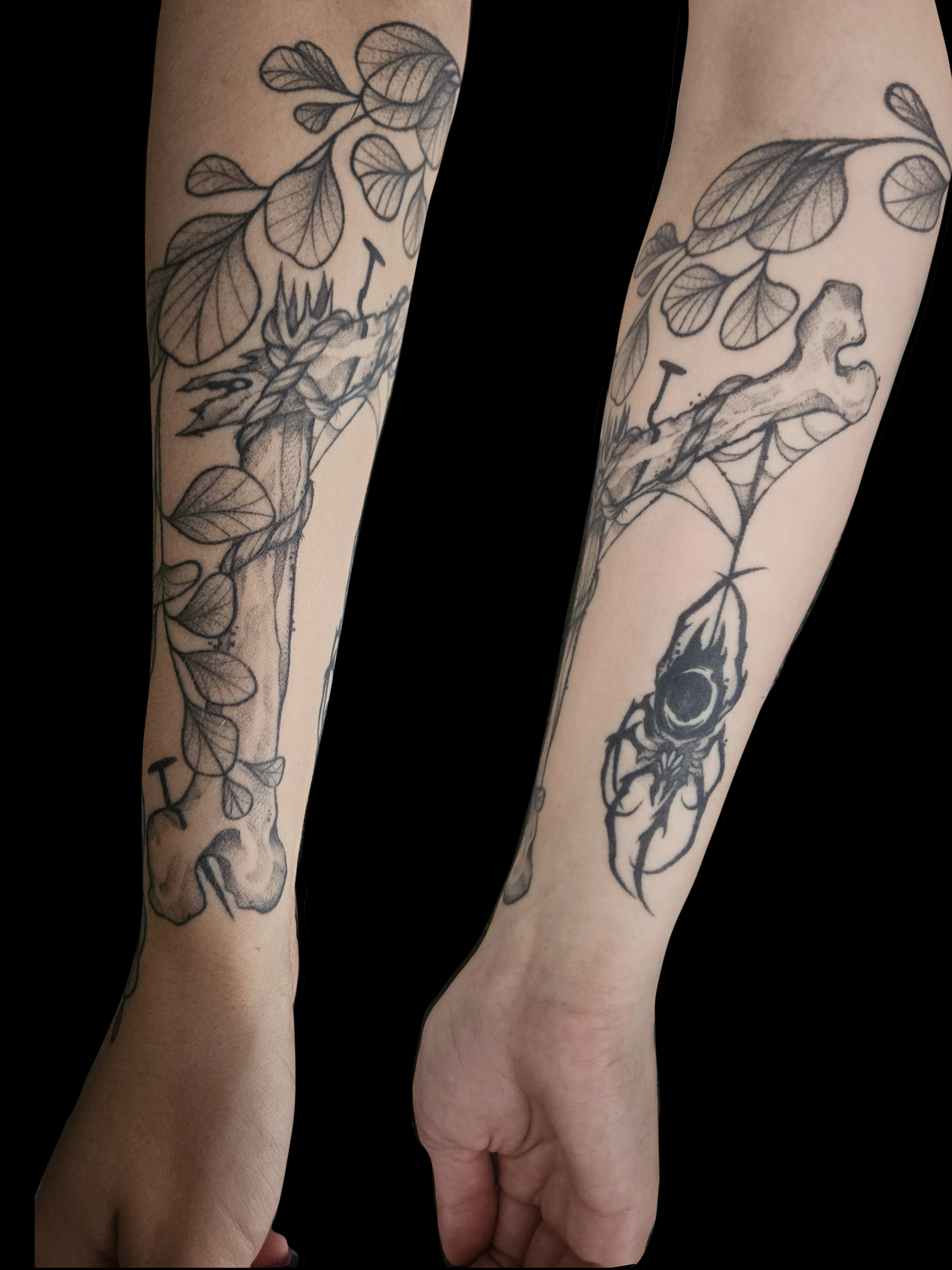 Over 1 Year healed 