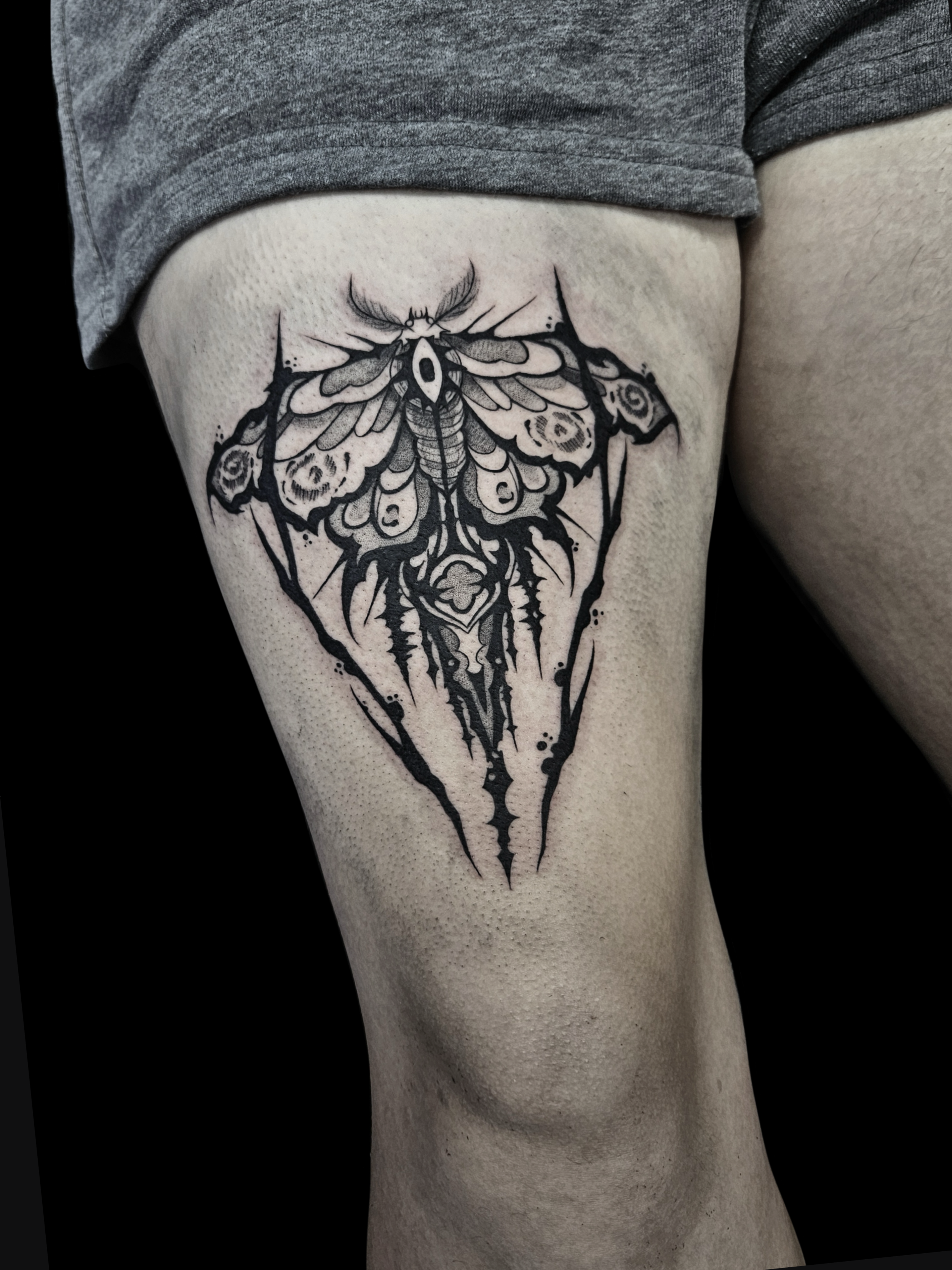 Moth