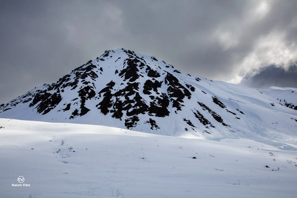 Hatcher Pass, Alaska