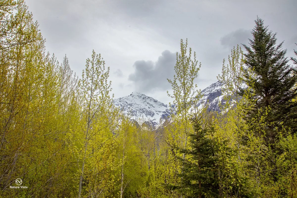 Eagle River Nature Center, Alaska