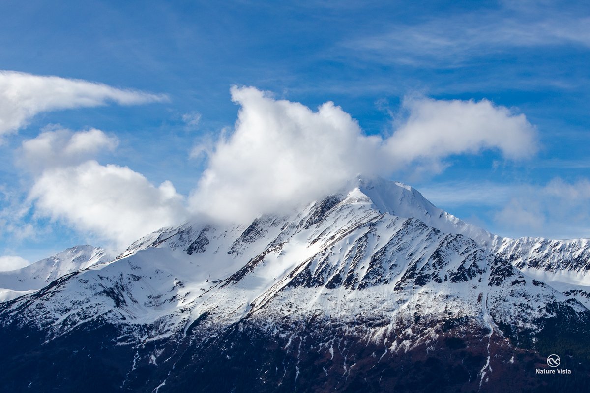Kenai Peninsula, Alaska