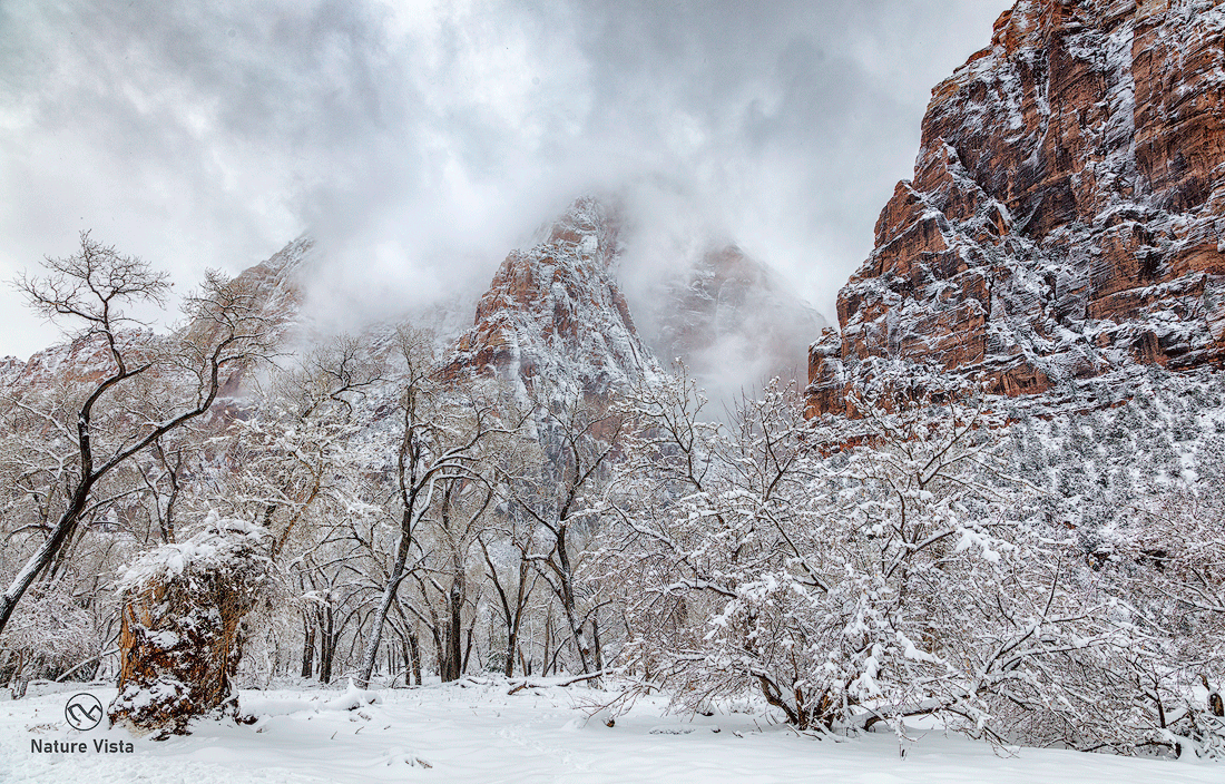 Zion National Park, Utah