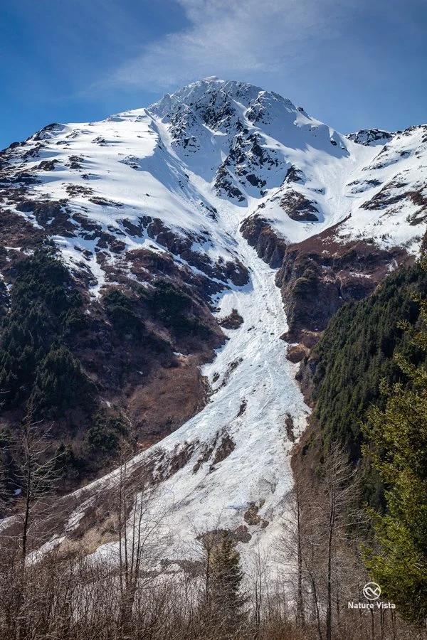 Portage Valley Recreation Area, Alaska
