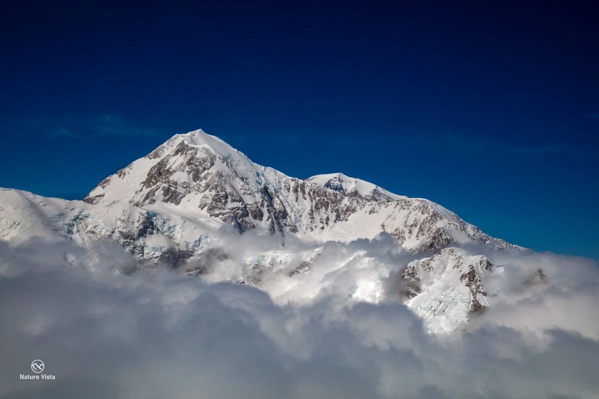 Denali Alaska