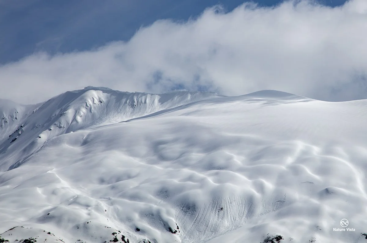 Portage Valley Recreation Area, Alaska