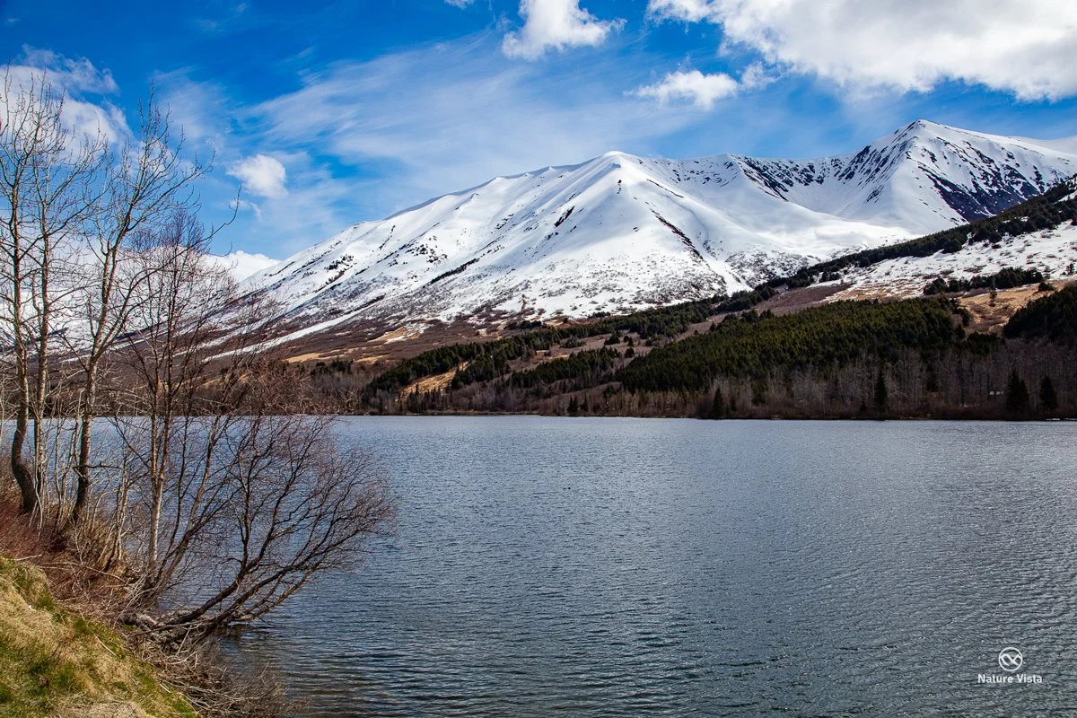 Kenai Peninsula, Alaska