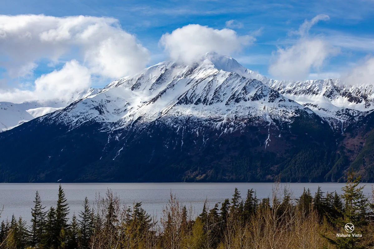 Kenai Peninsula, Alaska