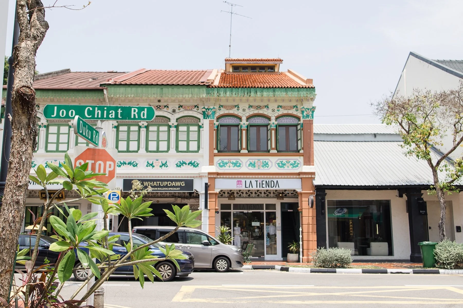 Purely Family Chiropractic Joo Chiat Singapore.jpg